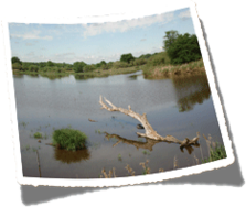 SDAGE et plan de gestion du risque inondation (PGRI) 2016-2021