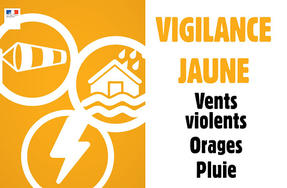 Vigilance jaune - Vents violents et Pluies orageuses