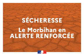 Sécheresse | Le Morbihan placé en alerte renforcée et partiellement en crise à/c du 28 juillet 2022