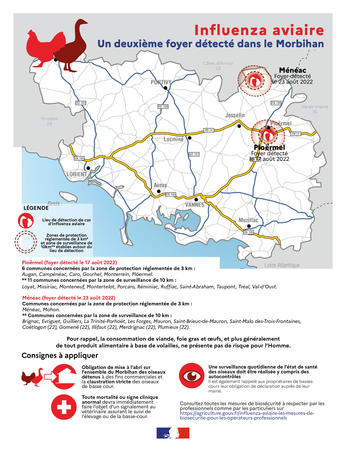 2022_08_25_Carte influenza aviaire dans le Morbihan